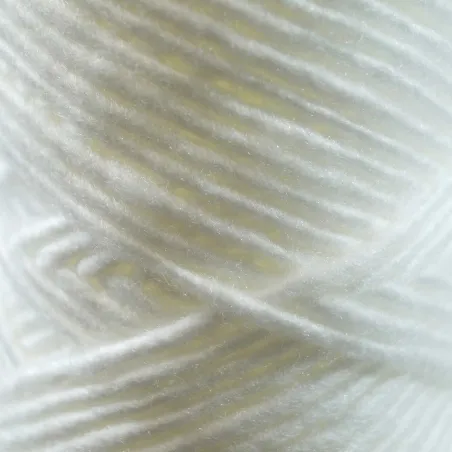 Cartouche bobinée 5" - 1µm