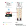 Kit de Filtration Nitrates Eau Potable Froide Profine Small 900L D'autonomie
