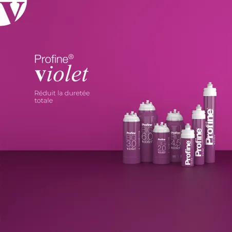 Filtre Profine VIOLET Small - Filtre Anti Calcaire + Charbon Actif Ions Argent et Sédiments 0,5 microns