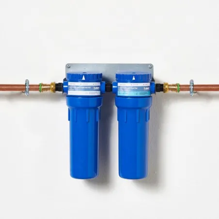 BWT PILODIPHOS PAP Antiscale Station - 4-in-1 station for anti-scale, anti-proliferation, and anti-corrosion filtration