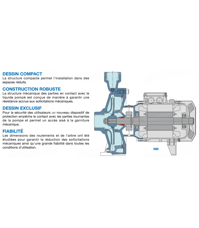 Pompe de surface eau chargée Calpeda CM20 - 0,37 kW 4,8 m3/h 220V