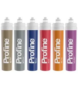 Cartouche filtre eau baïonette profine