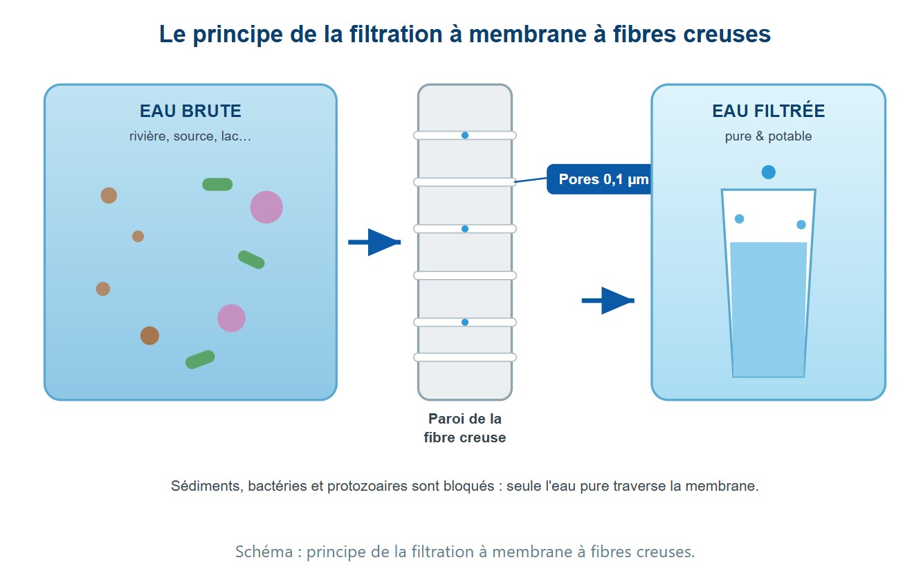 Schéma : principe de la filtration à membrane à fibres creuses. Schéma : principe de la filtration à membrane à fibres creuses.